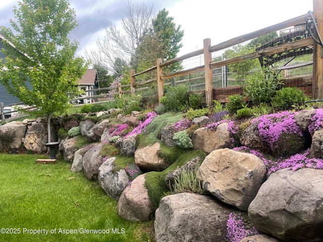 a view of a garden with plants