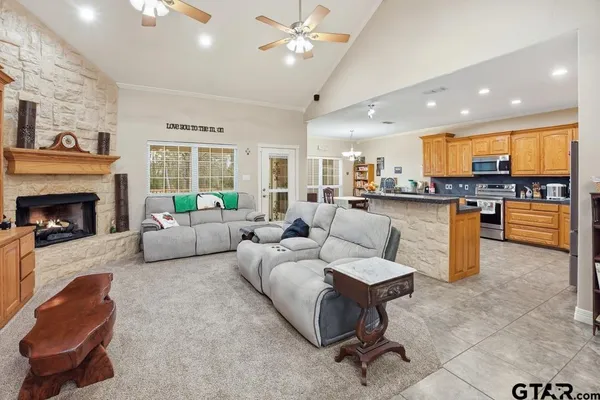 a living room with furniture and a fireplace