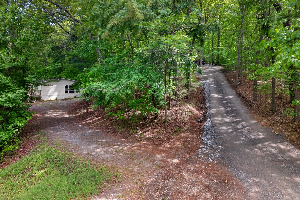 282 West Cherry Road Hayesville, NC 28904 - Photo 37 of 45 a view of a large yard with lots of green space and deers