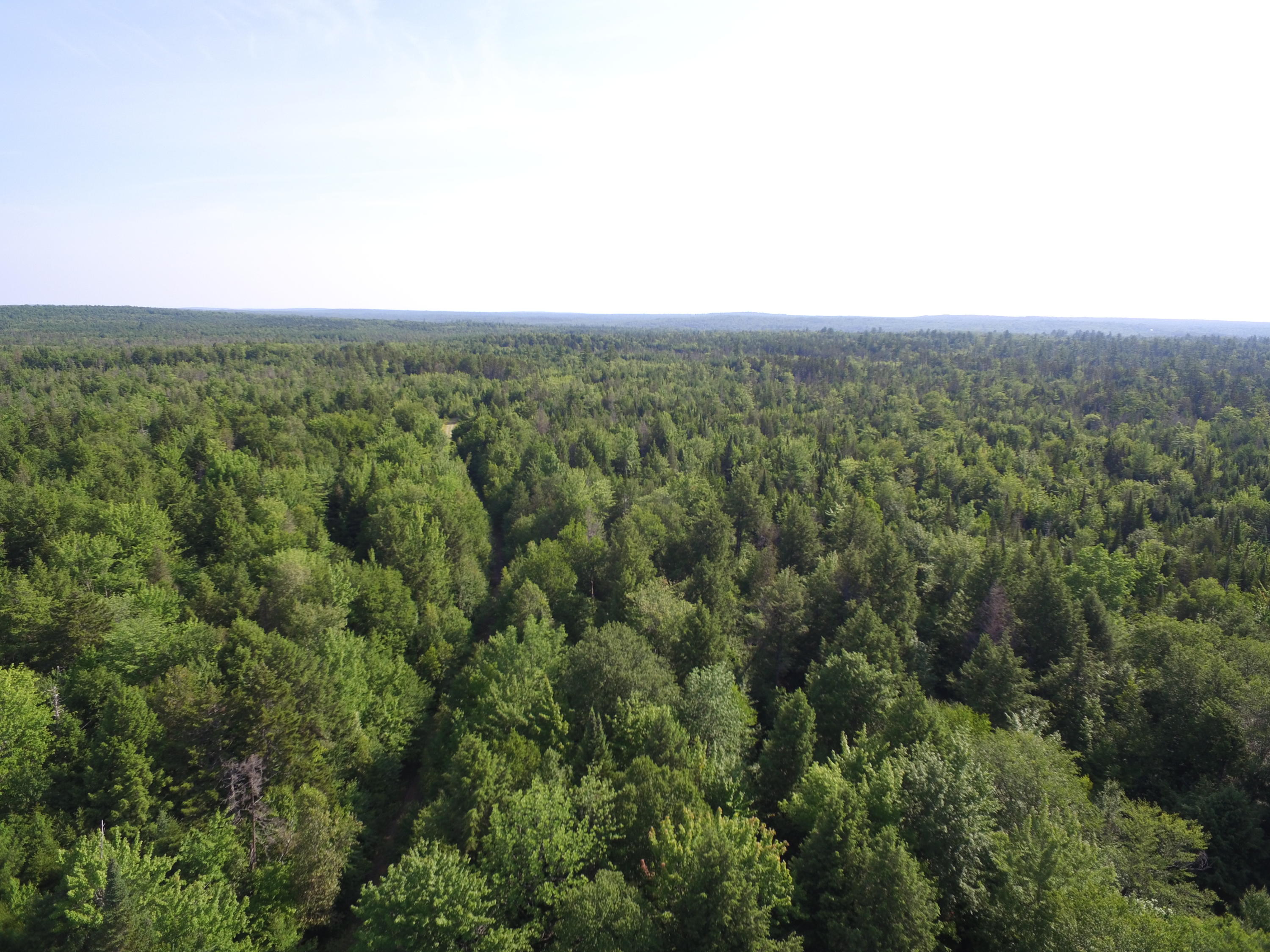 Tbd West Tbd W Indian Road Lincoln, ME 04457 - Photo 8 of 18 DJI_0467