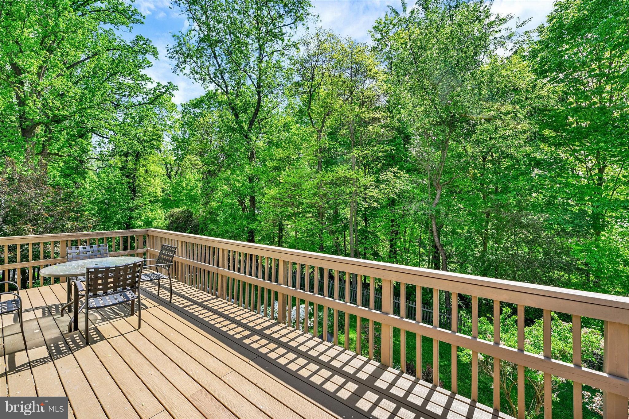 403 Old Orchard Road Baltimore, MD 21229 - Photo 31 of 37 Private Rear Deck off of Dining Room