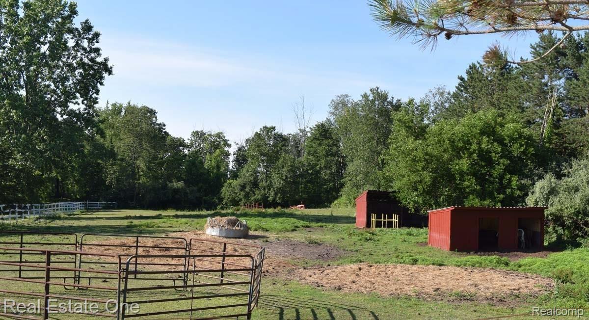 3838 East Allen Road Howell, MI 48855 - Photo 23 of 29 Also front pasture