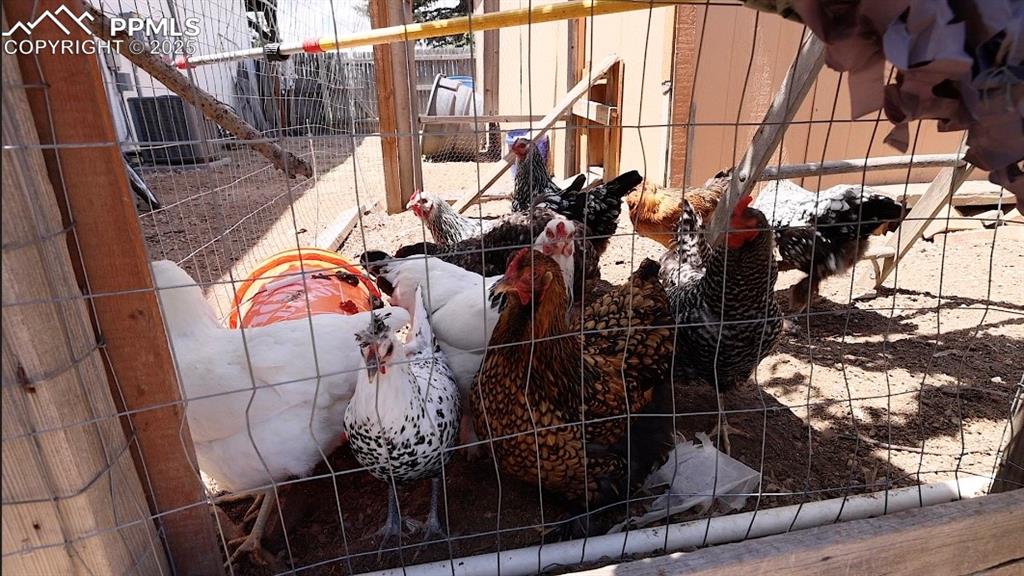 17940 Appaloosa Road Monument, CO 80132 - Photo 32 of 44