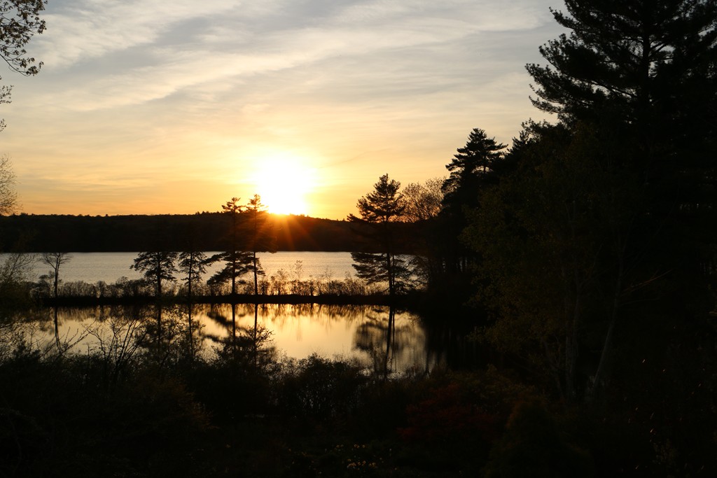 211 Farm Road Sherborn, MA 01770 - Photo 24 of 30 Gallery Image 24