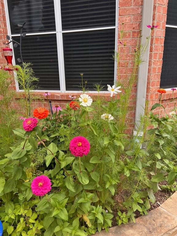1224 Harvard Lane Allen, TX 75002 - Photo 21 of 26