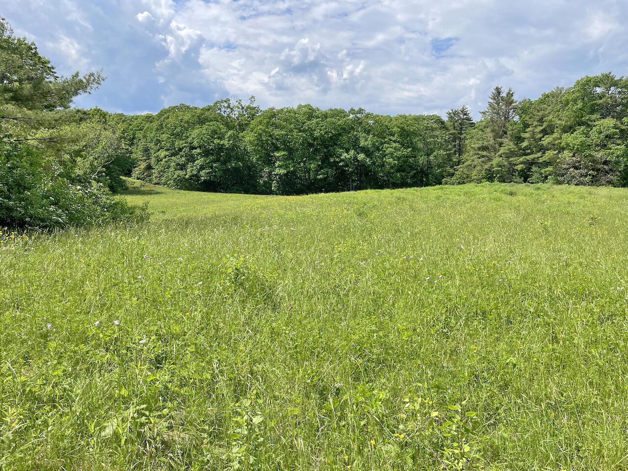 306 Golden Ridge Road Alna, ME 04535 - Photo 20 of 49 Middle Fields