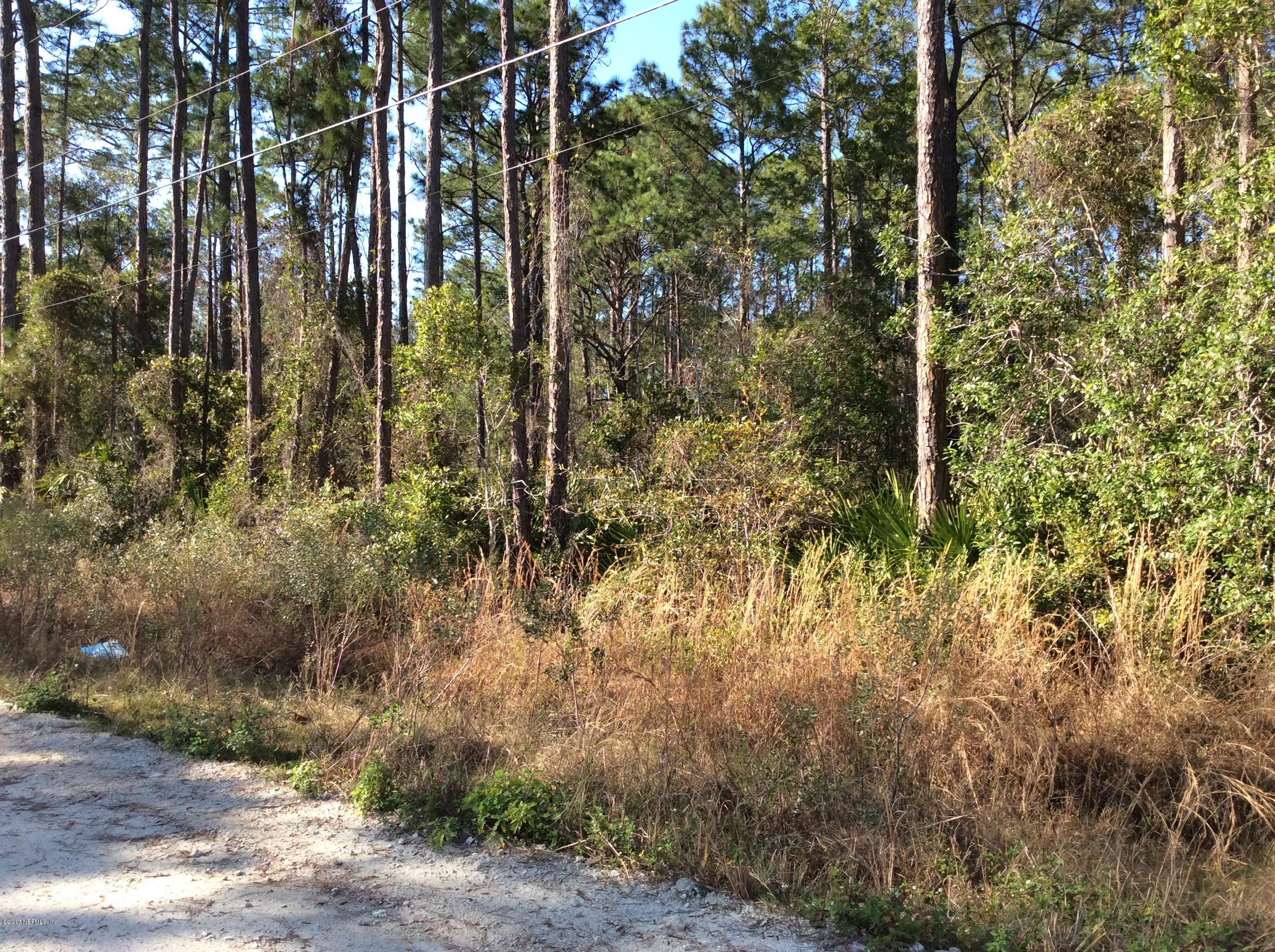 125 Domingo Road Satsuma, FL 32189 - Photo 1 of 2