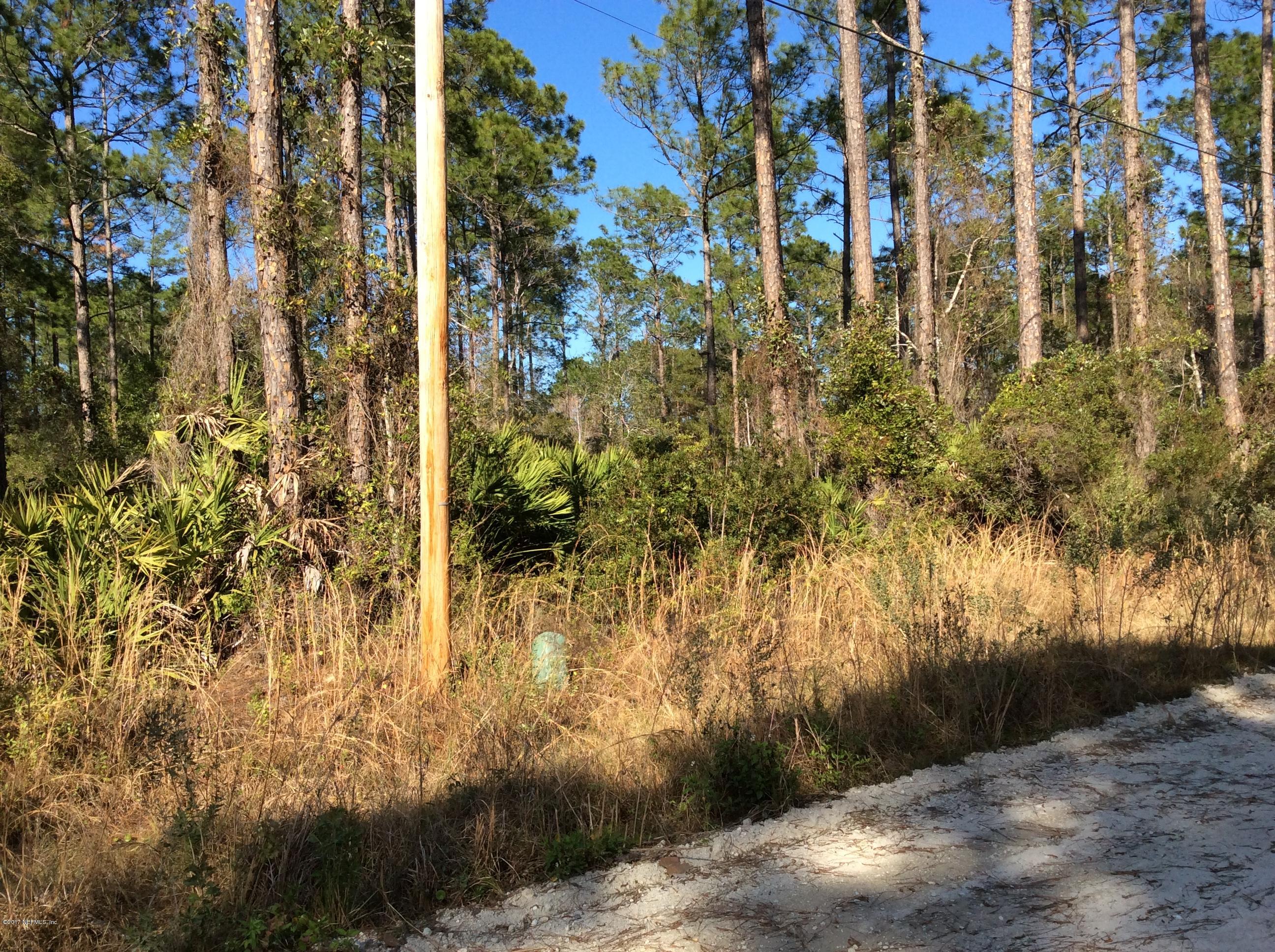 125 Domingo Road Satsuma, FL 32189 - Photo 2 of 2 a view of backyard of a building