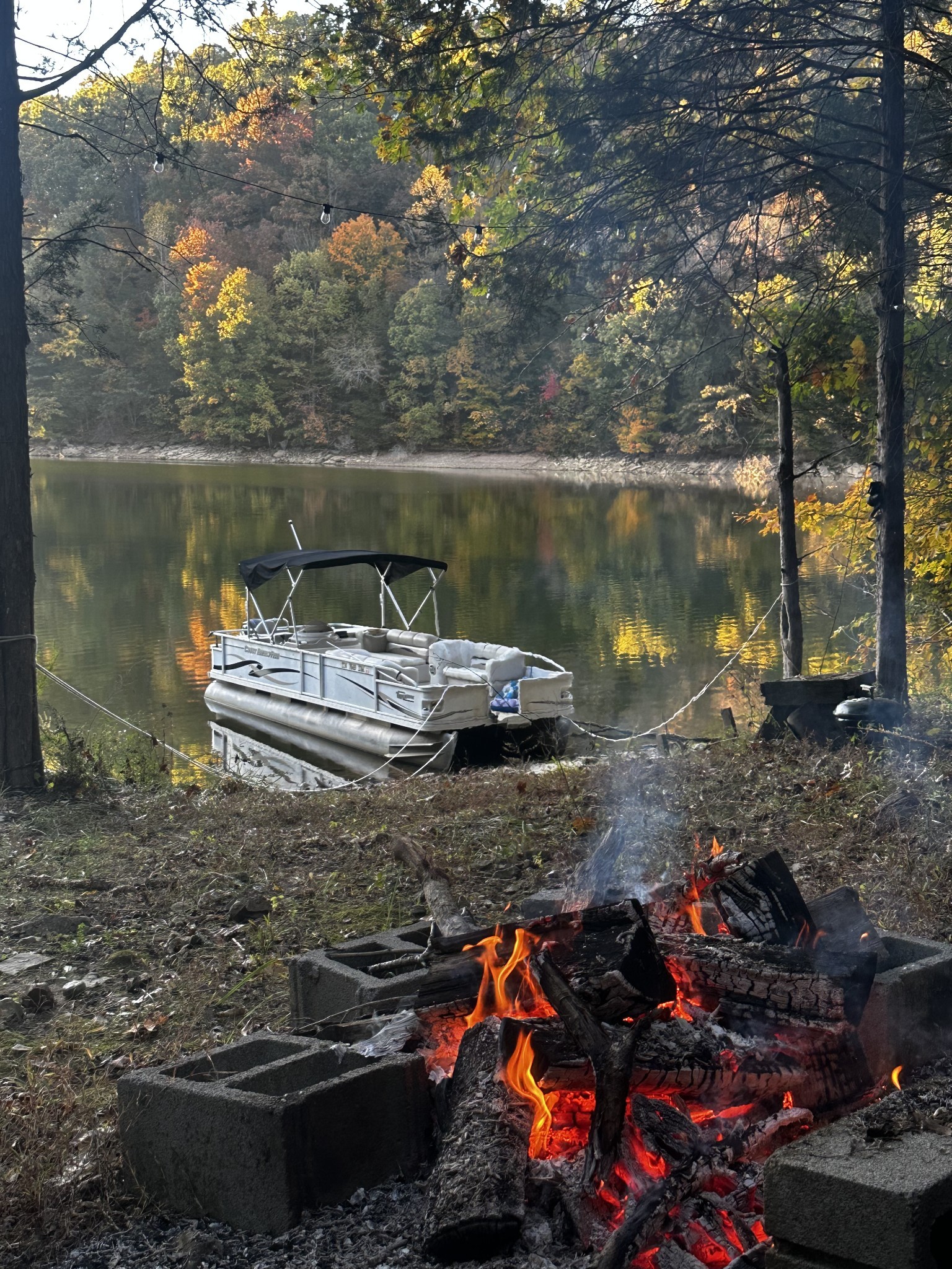 516 Rhotons Chapel Road Manchester, TN 37355 - Photo 51 of 52 a view of a lake from a yard