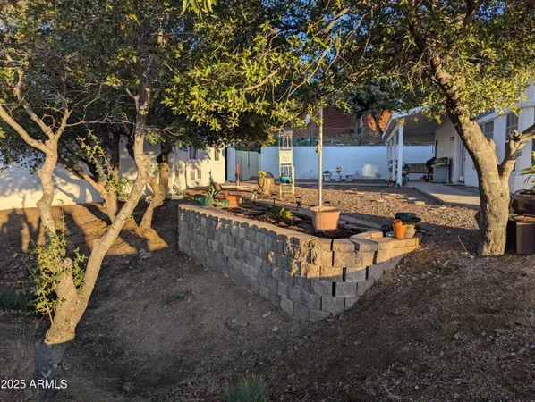 a view of a house with backyard fire pit and a large tree