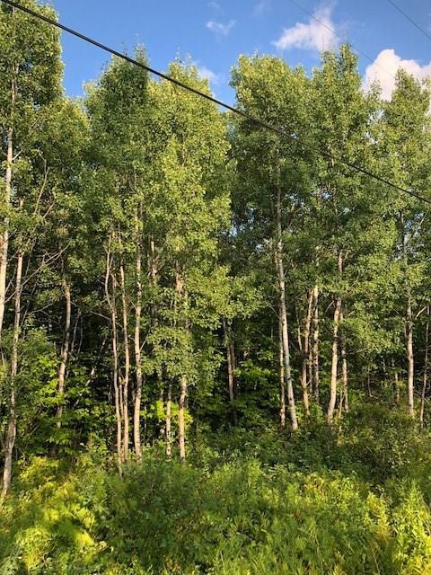 0 Palmer Road Newport, ME 04953 - Photo 2 of 4 Photo
