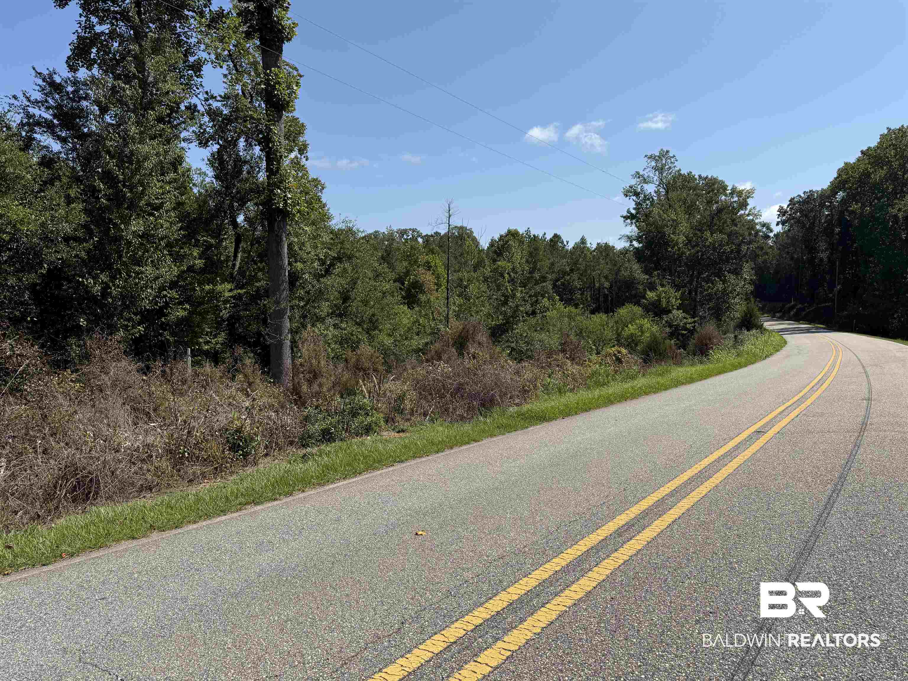13850 Tallahatta Springs Road Thomasville, AL 36784 - Photo 23 of 27 View of asphalt street featuring a forest view