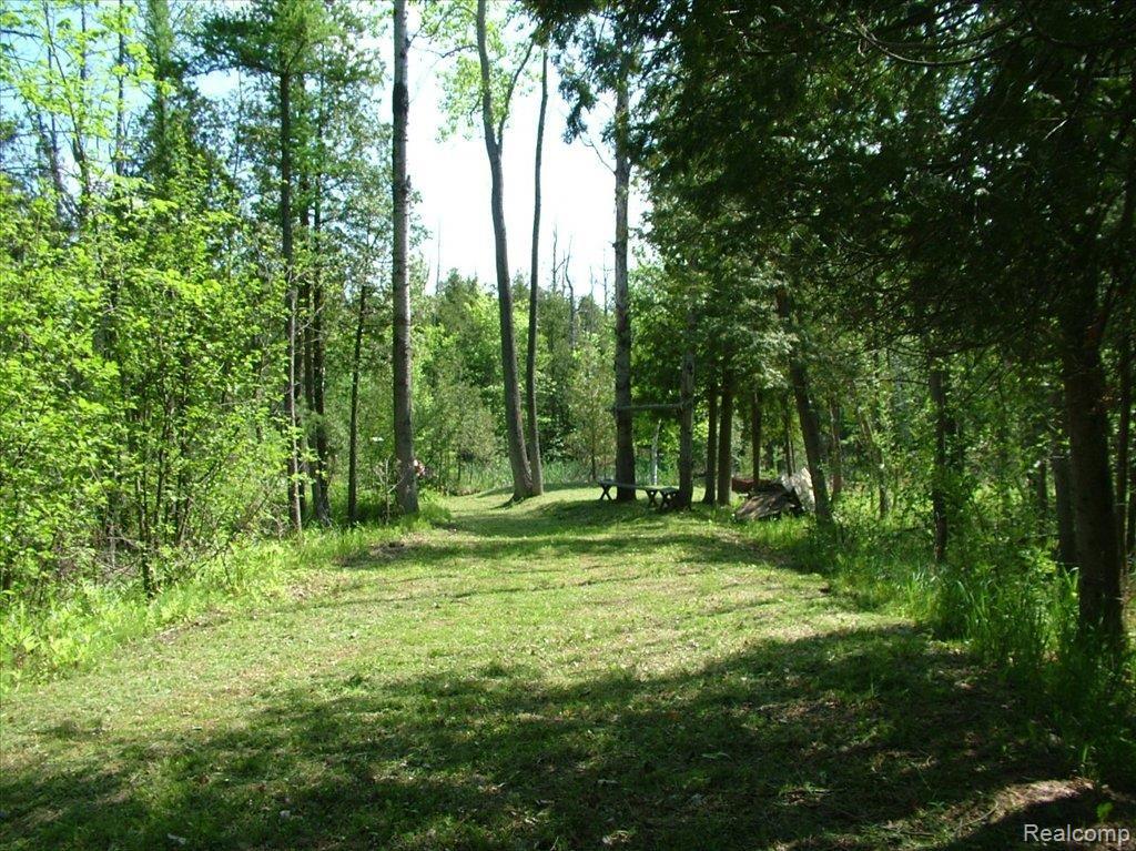 5950 Hasslick Road North Branch, MI 48461 - Photo 2 of 9 DSCF4462