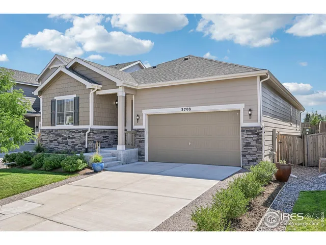 a living room with furniture a window and a fireplace