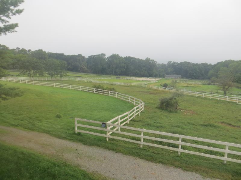 1225-1229 Cokesbury Califon Road Califon, NJ 07830 - Photo 9 of 13