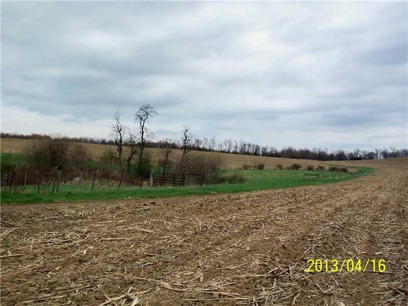 121 Sopko Road Hunker, PA 15639 - Photo 11 of 12 Land. BACK FIELD
