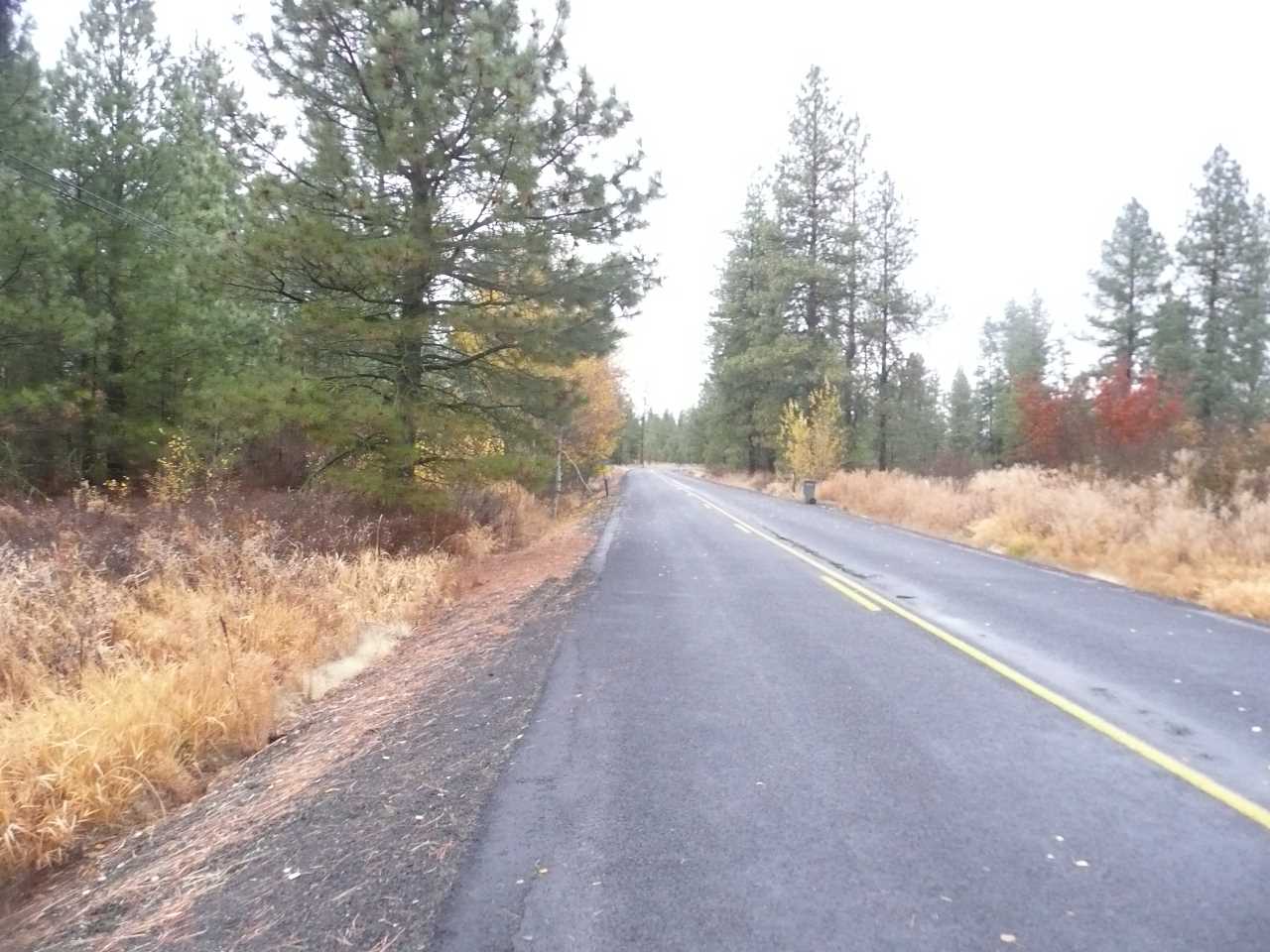 17200-blk South Malloy Prairie Road Cheney, WA 99004 - Photo 11 of 11 Gallery Image 11