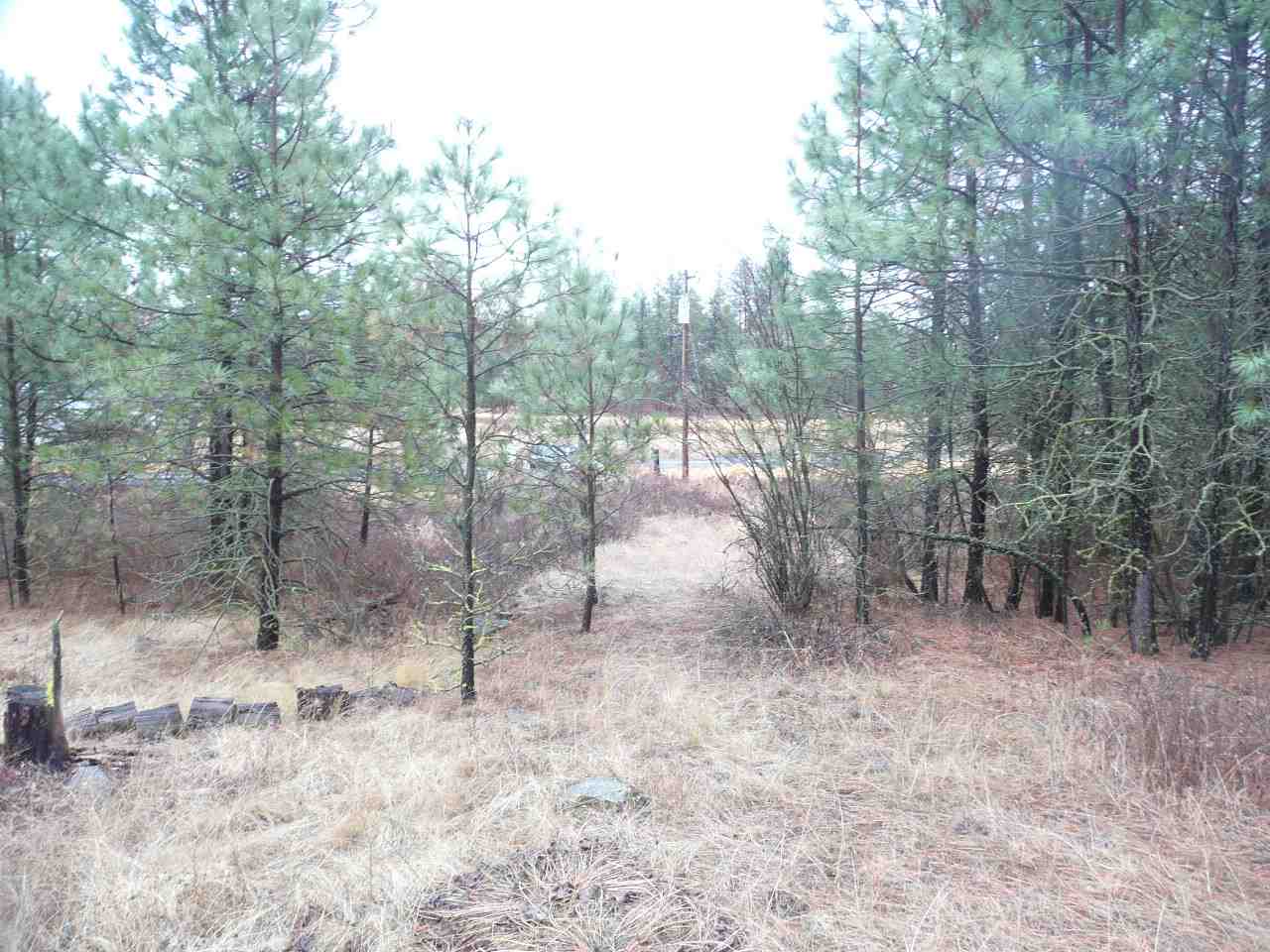 17200-blk South Malloy Prairie Road Cheney, WA 99004 - Photo 8 of 11 Gallery Image 8