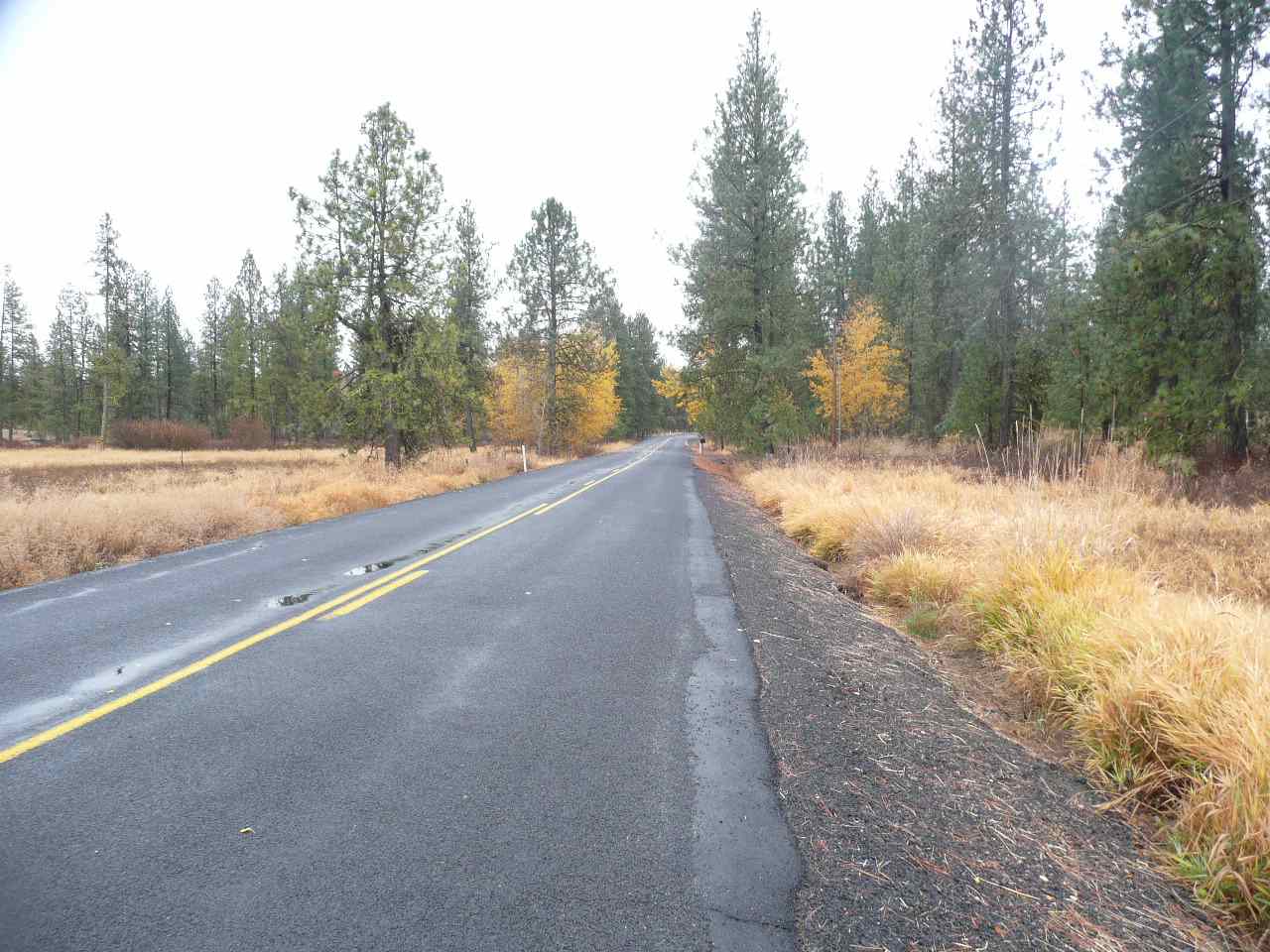 17200-blk South Malloy Prairie Road Cheney, WA 99004 - Photo 10 of 11 Gallery Image 10