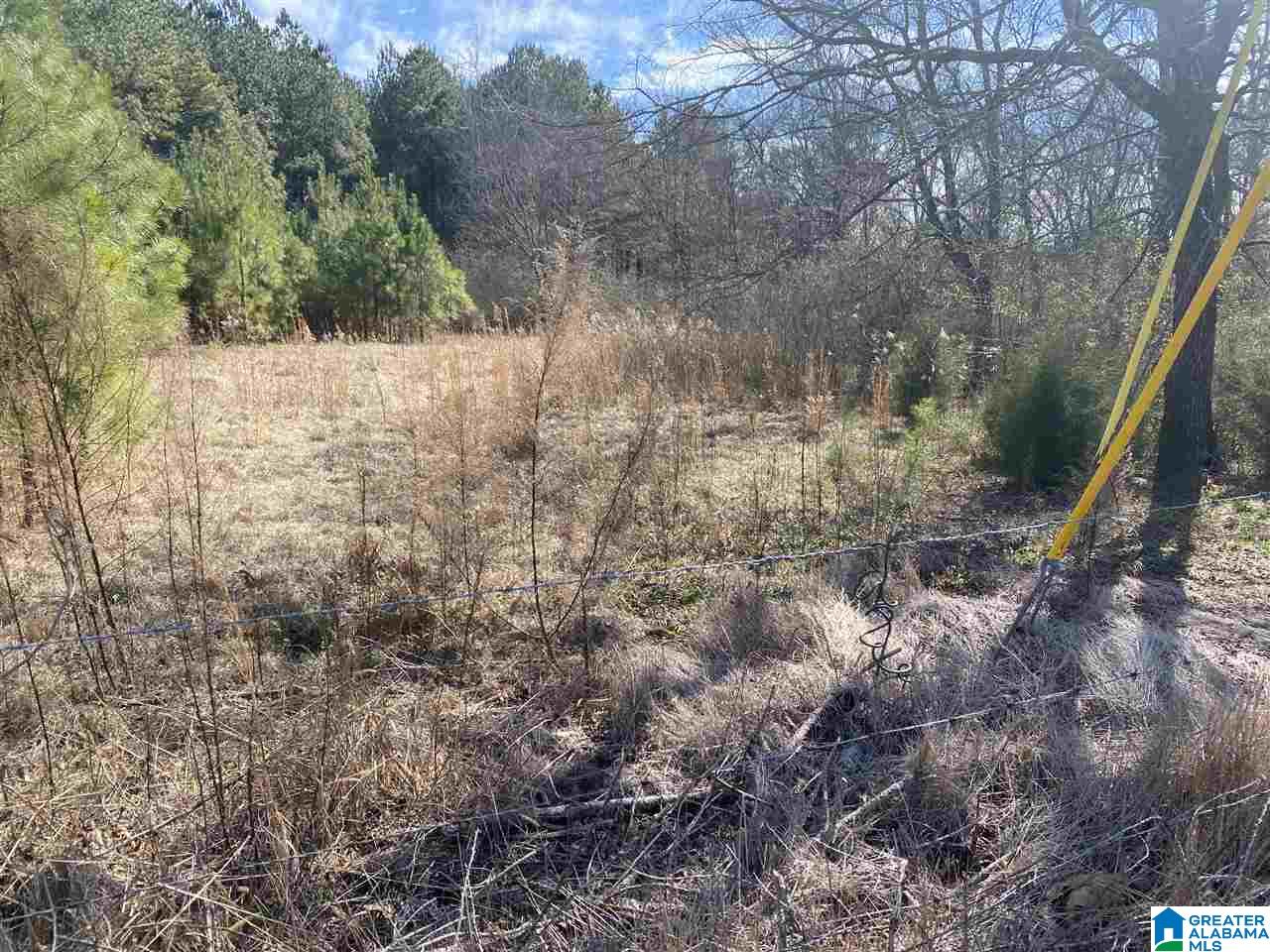 1560 Oren Miller Road, Unit 1 Warrior, AL 35180 - Photo 14 of 19