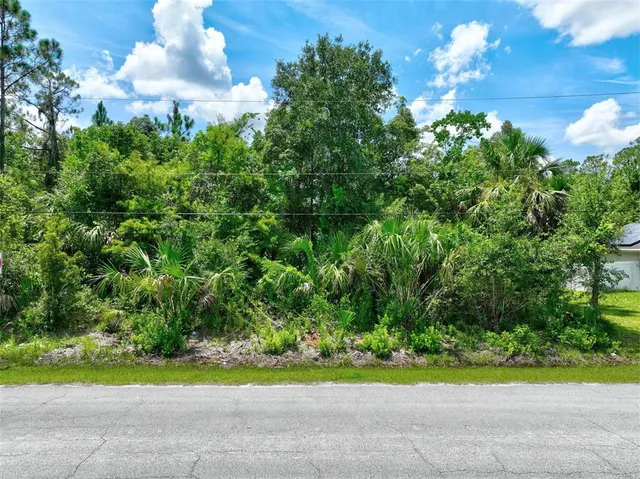 a view of a yard with a tree