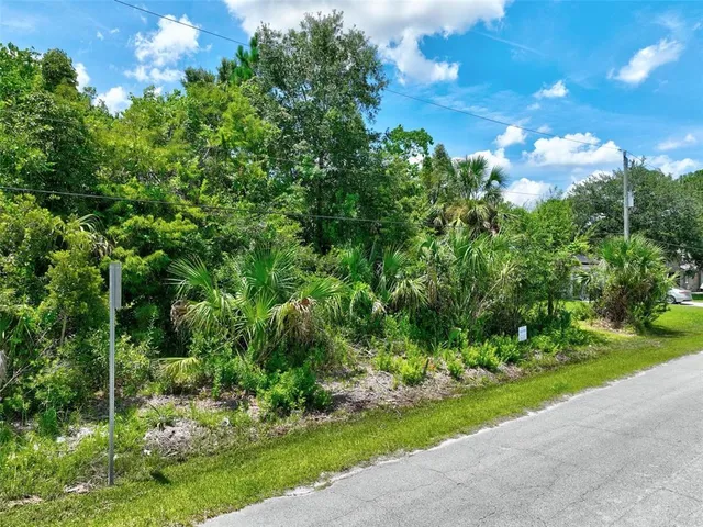 a view of a garden with a tree