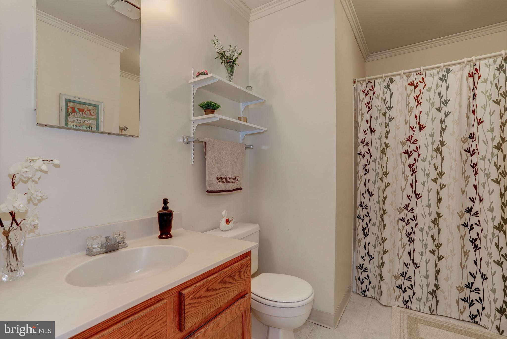 13345 Point Rider Lane Herndon, VA 20171 - Photo 15 of 30 a bathroom with a sink toilet and shower