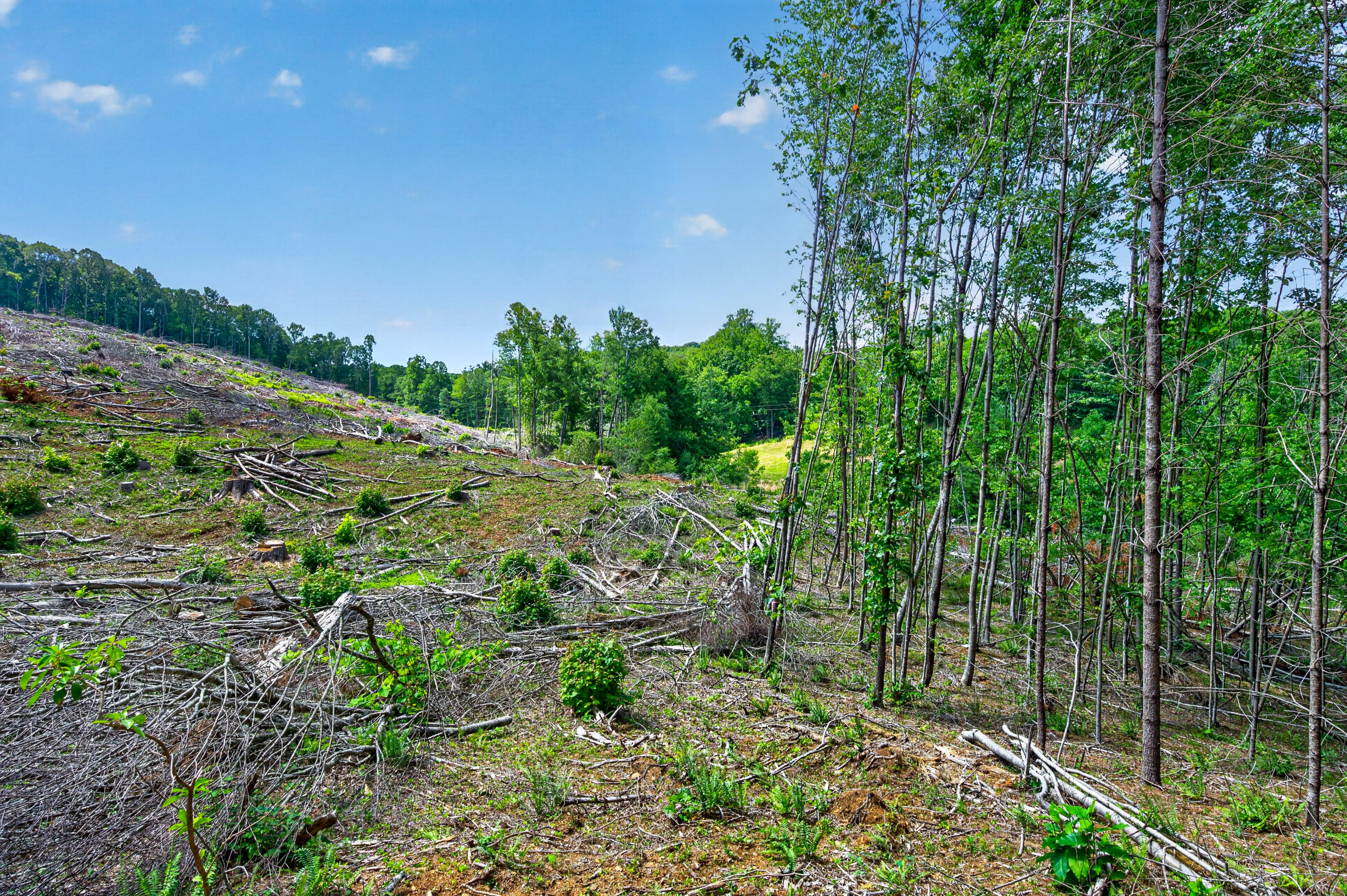 6196 Chances Creek Road Fancy Gap, VA 24328 - Photo 44 of 78 45