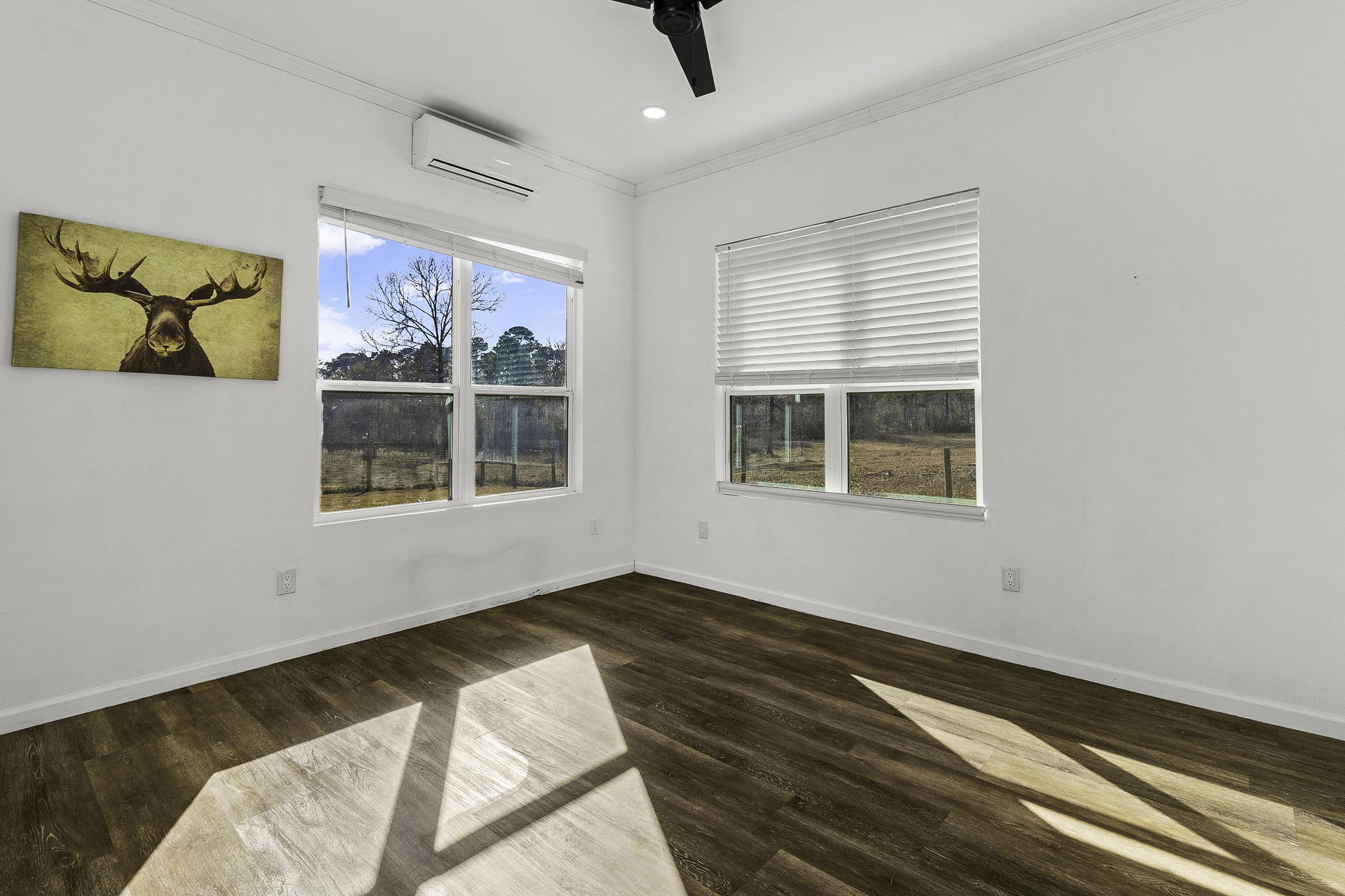 500 Highway 156 Point Blank, TX 77364 - Photo 41 of 47 Guest house - second bedroom