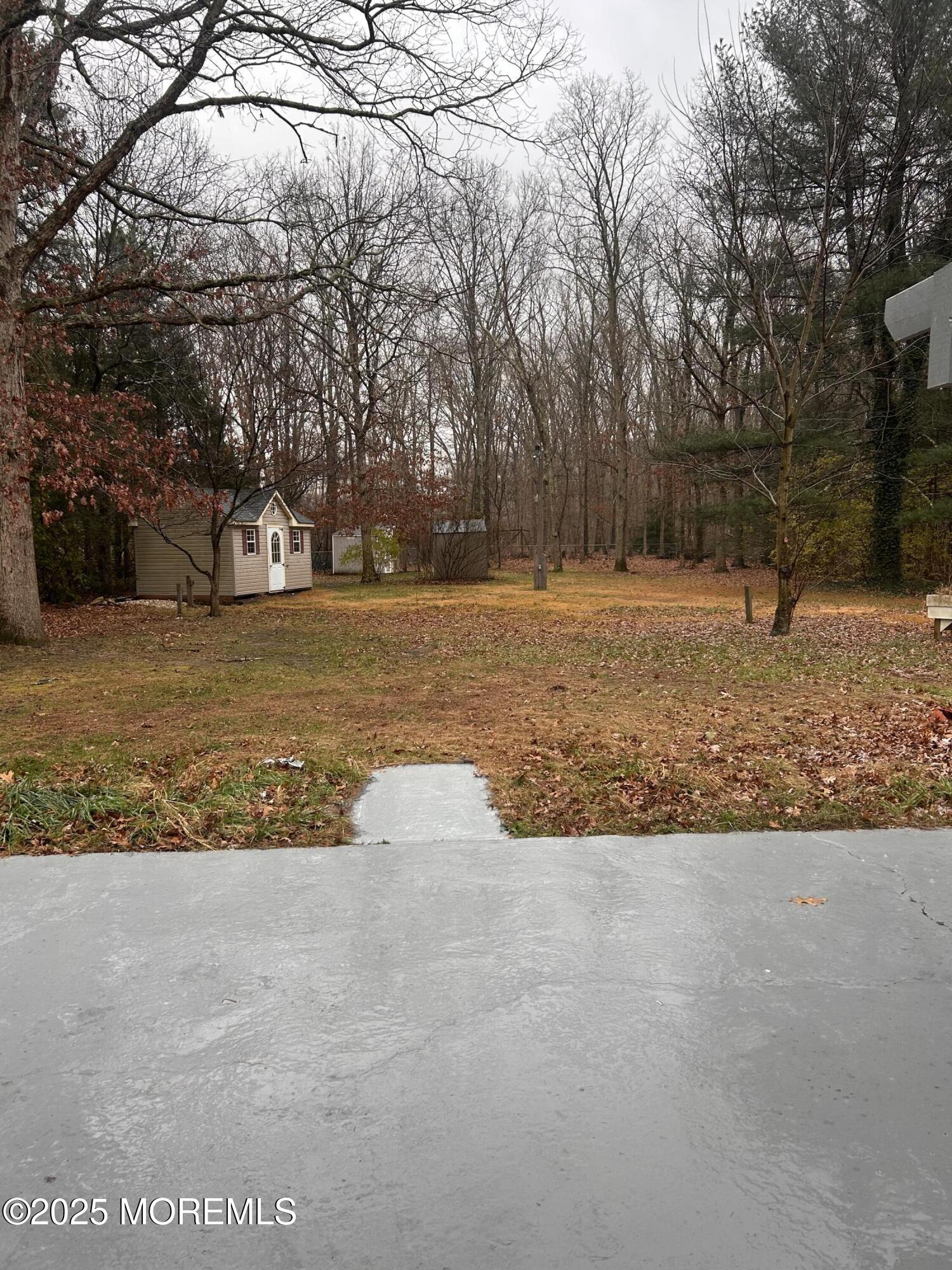 a view of a yard with a trees