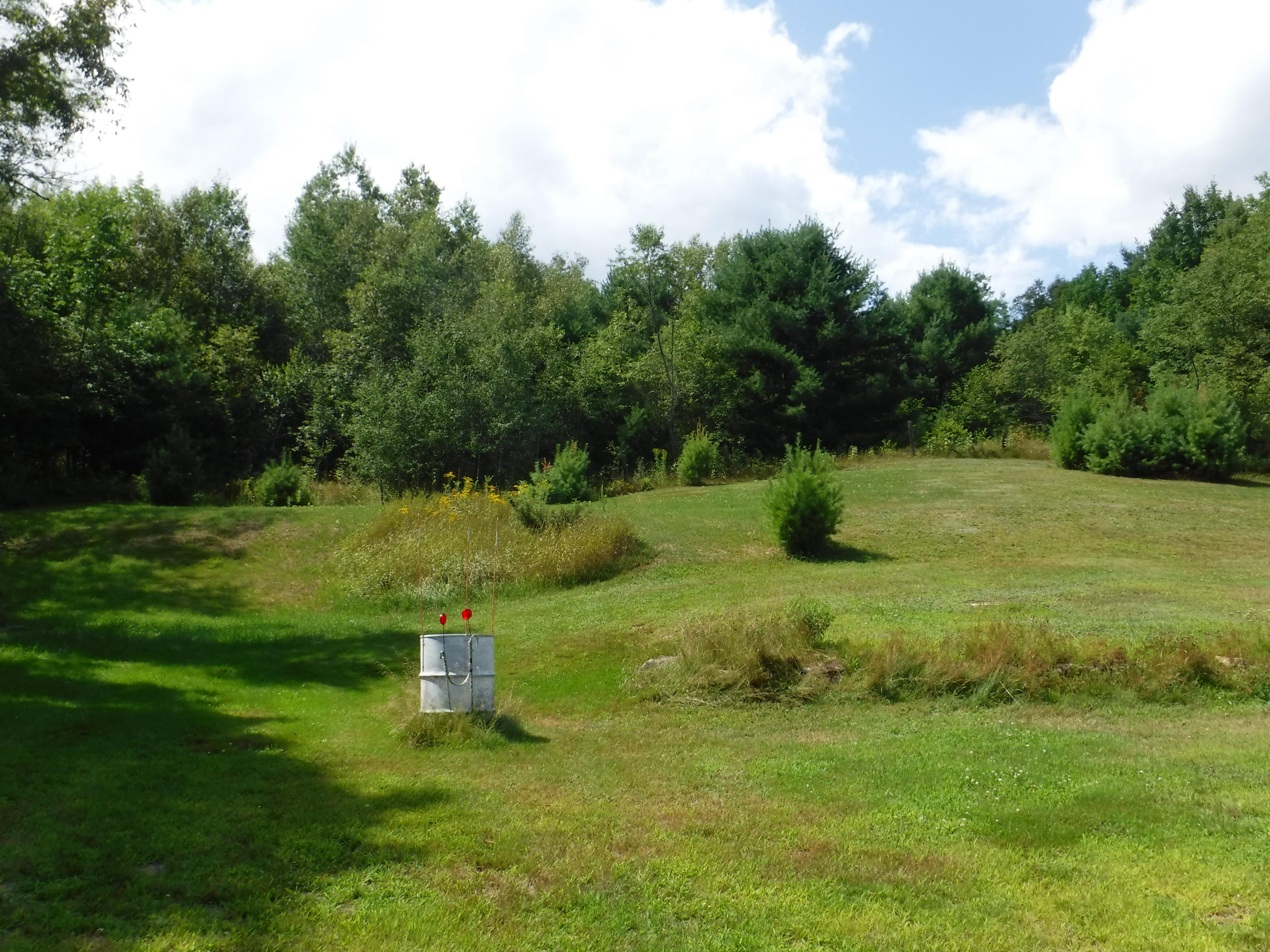 501 Dickvale Road Peru, ME 04290 - Photo 19 of 22 19 Lot