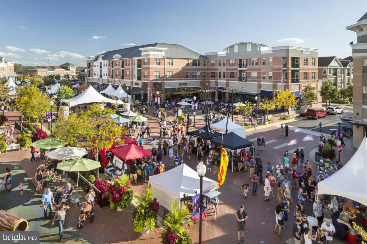 1426 Ribbon Limestone Terrace Southeast Leesburg, VA 20175 - Photo 2 of 9 Vibrant community festival in full swing.