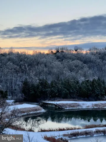 a view of a swimming pool with a yard and wooden floor