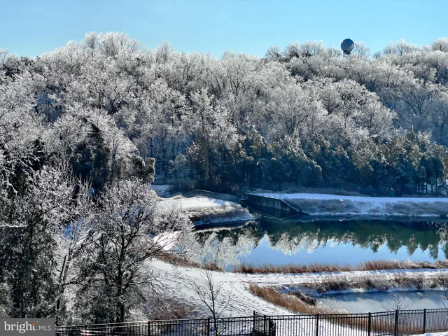 a view of a backyard of the house