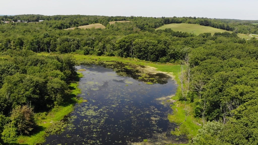 13-9 Rufus Putnam Road North Brookfield, MA 01535 - Photo 4 of 7