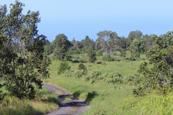 Waiono Ranch Road, Unit 5 Holualoa, HI 96725 - Photo 13 of 18 Gallery Image 13