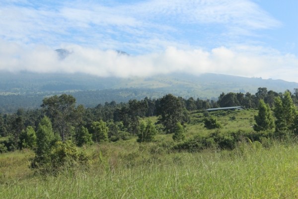 Waiono Ranch Road, Unit 5 Holualoa, HI 96725 - Photo 16 of 18 Gallery Image 16