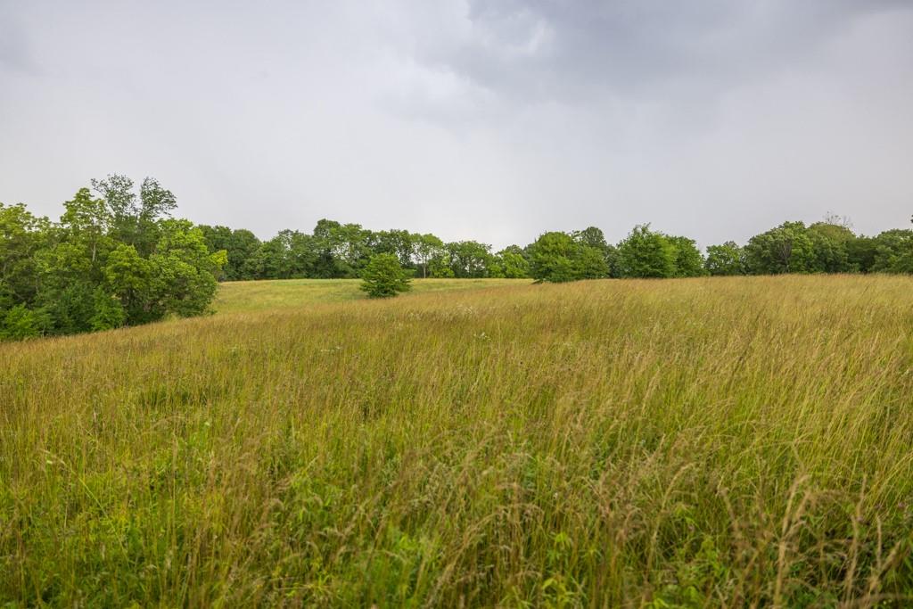 13277 Norris Road Rayville, MO 64084 - Photo 24 of 55