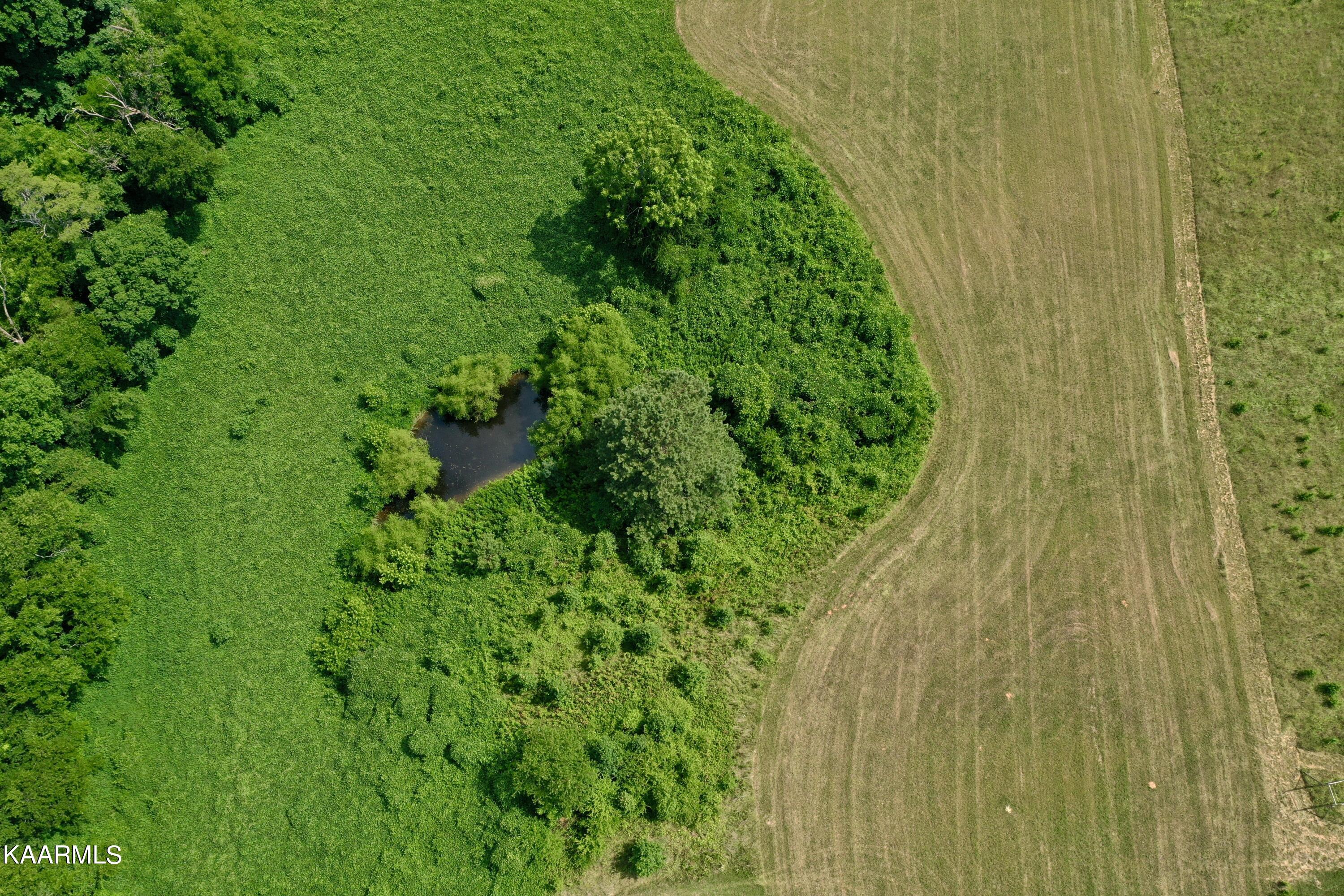 550 Mason Road Madisonville, TN 37354 - Photo 18 of 38 DJI_0996