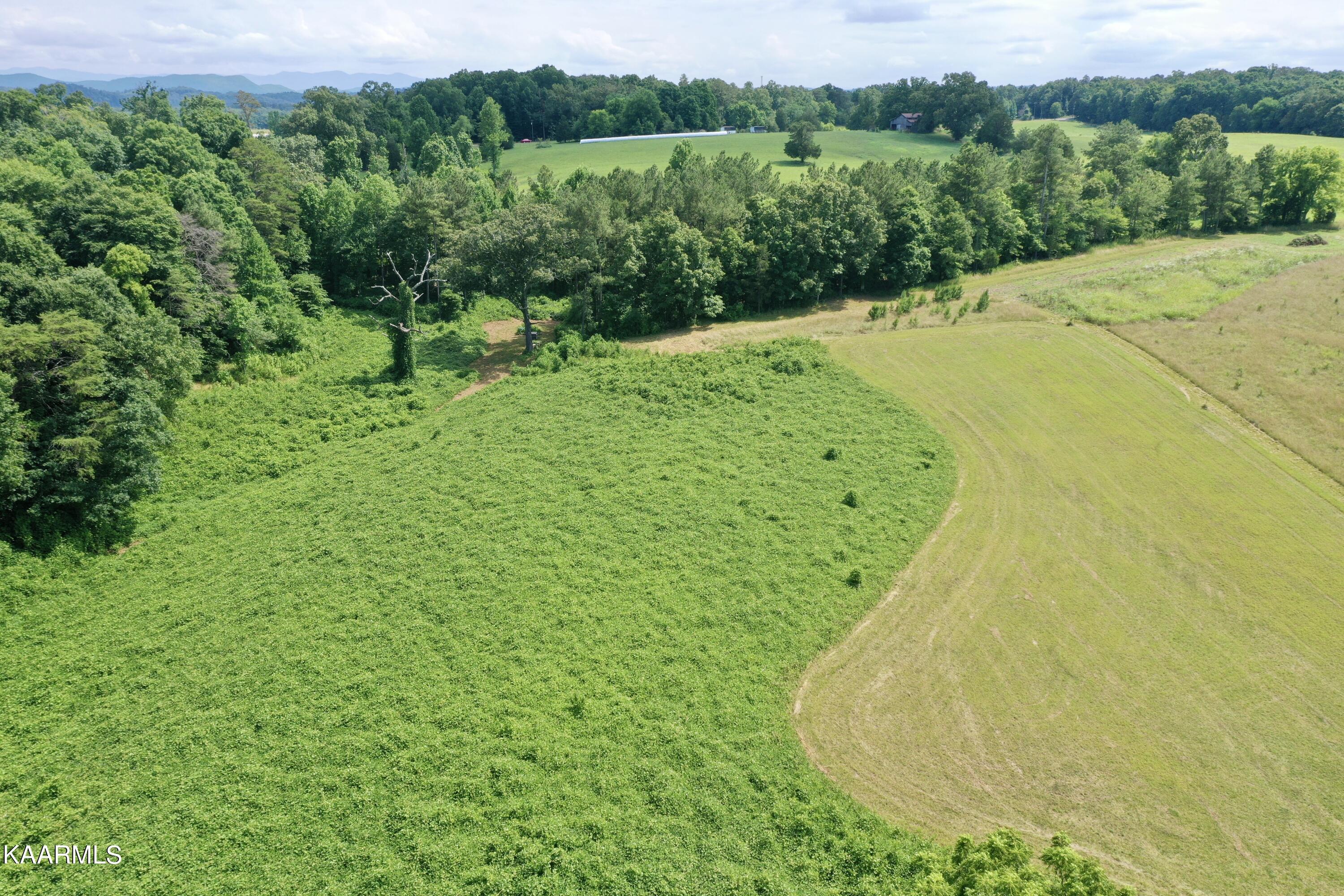 550 Mason Road Madisonville, TN 37354 - Photo 20 of 38 DJI_0998