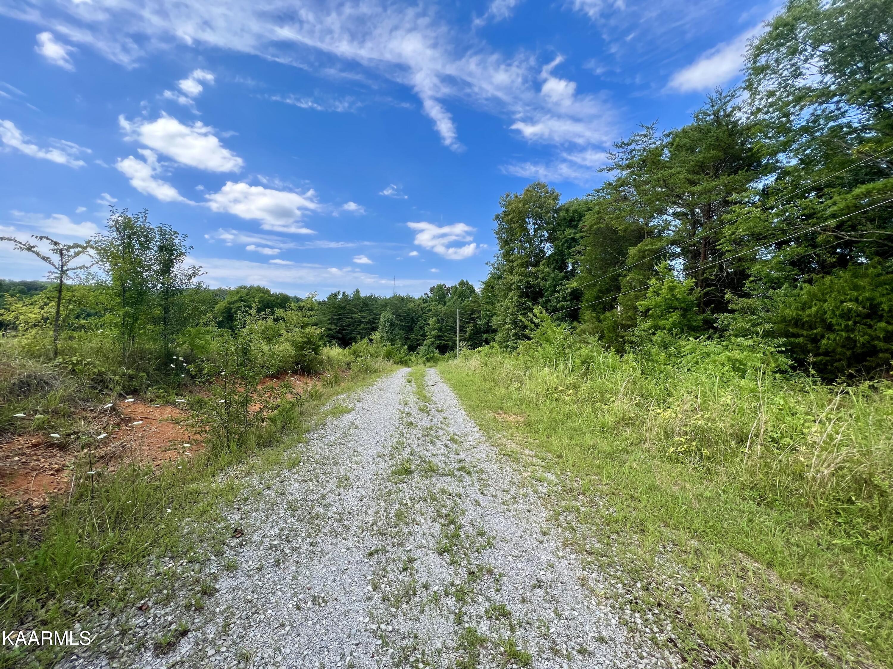 550 Mason Road Madisonville, TN 37354 - Photo 21 of 38 IMG_2337