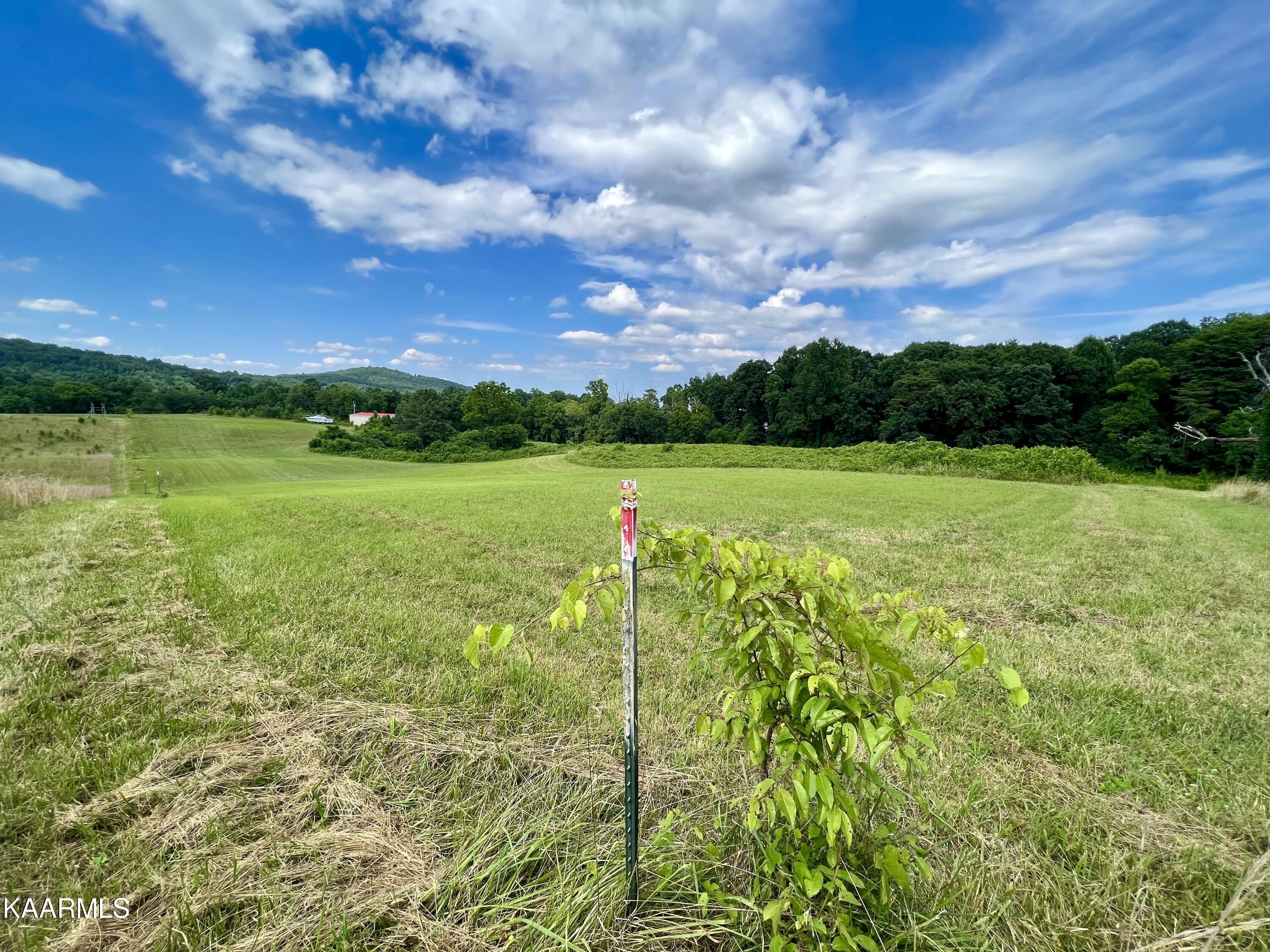 550 Mason Road Madisonville, TN 37354 - Photo 26 of 38 IMG_2342