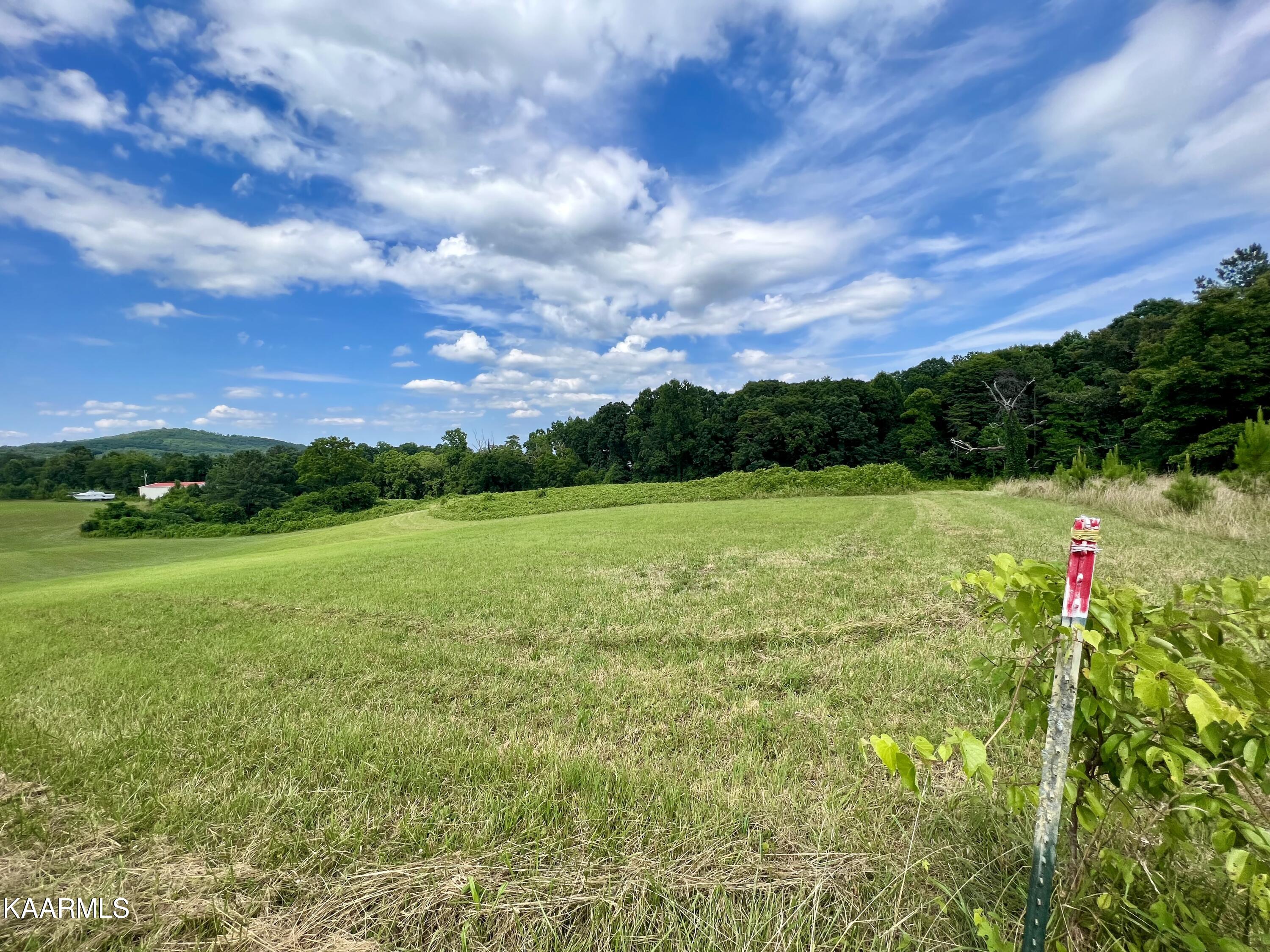 550 Mason Road Madisonville, TN 37354 - Photo 27 of 38 IMG_2343