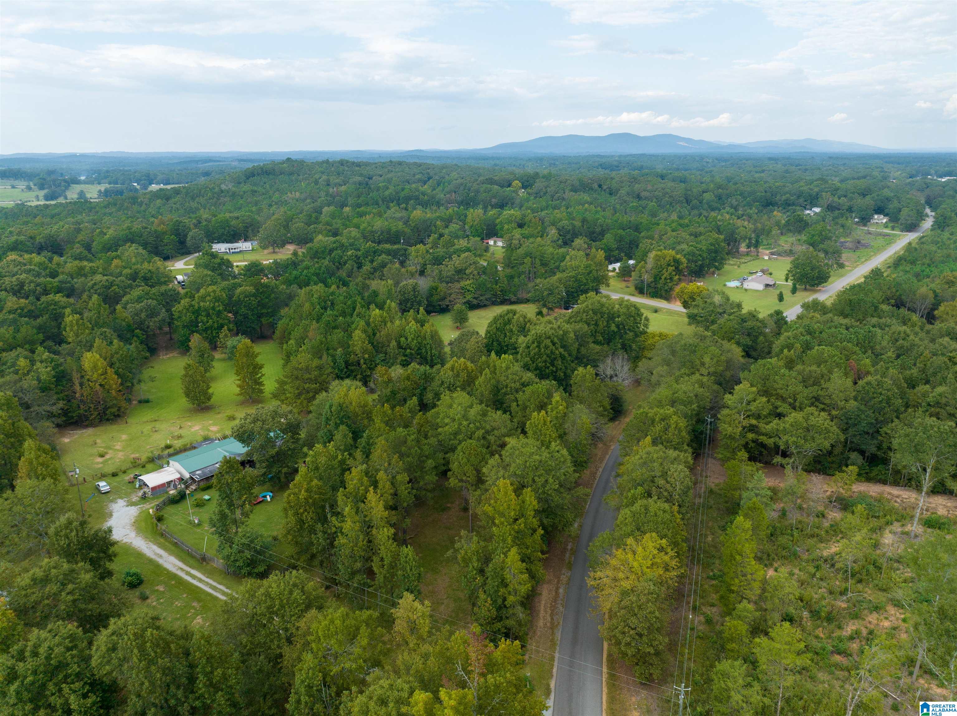 0 Campbell Road Munford, AL 36268 - Photo 11 of 13