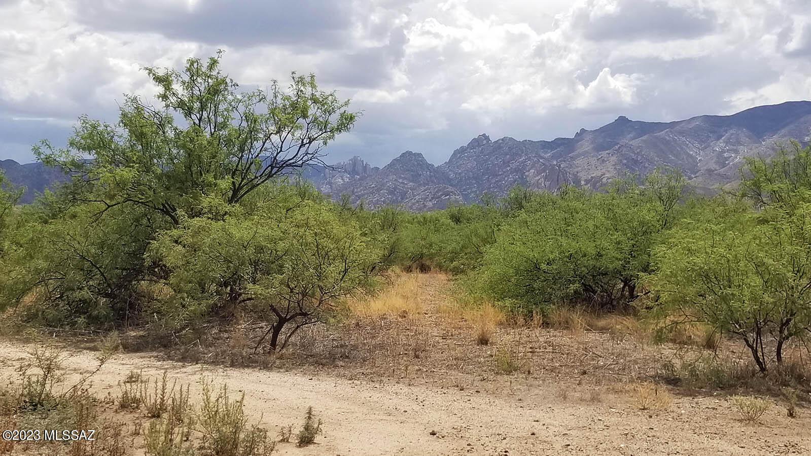 1-lot West Birch Road, Unit 8 Cochise, AZ 85606 - Photo 2 of 11