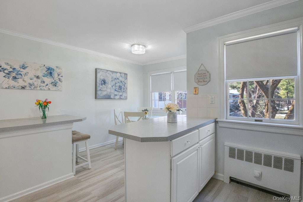 590 Bedford Road, Unit 2 Pleasantville, NY 10570 - Photo 12 of 30 Bright eat-kitchen featuring multiple dining areas and several windows that bring in abundant natural light.