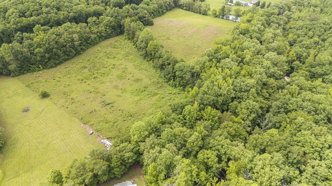 0 Mantey Road Waynesboro, TN 38485 - Photo 4 of 10 Gallery Image 4