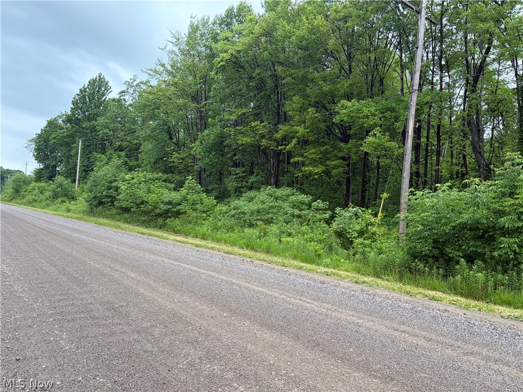 0 South Ridge Road West Conneaut, OH 44030 - Photo 2 of 5 Road view to the west