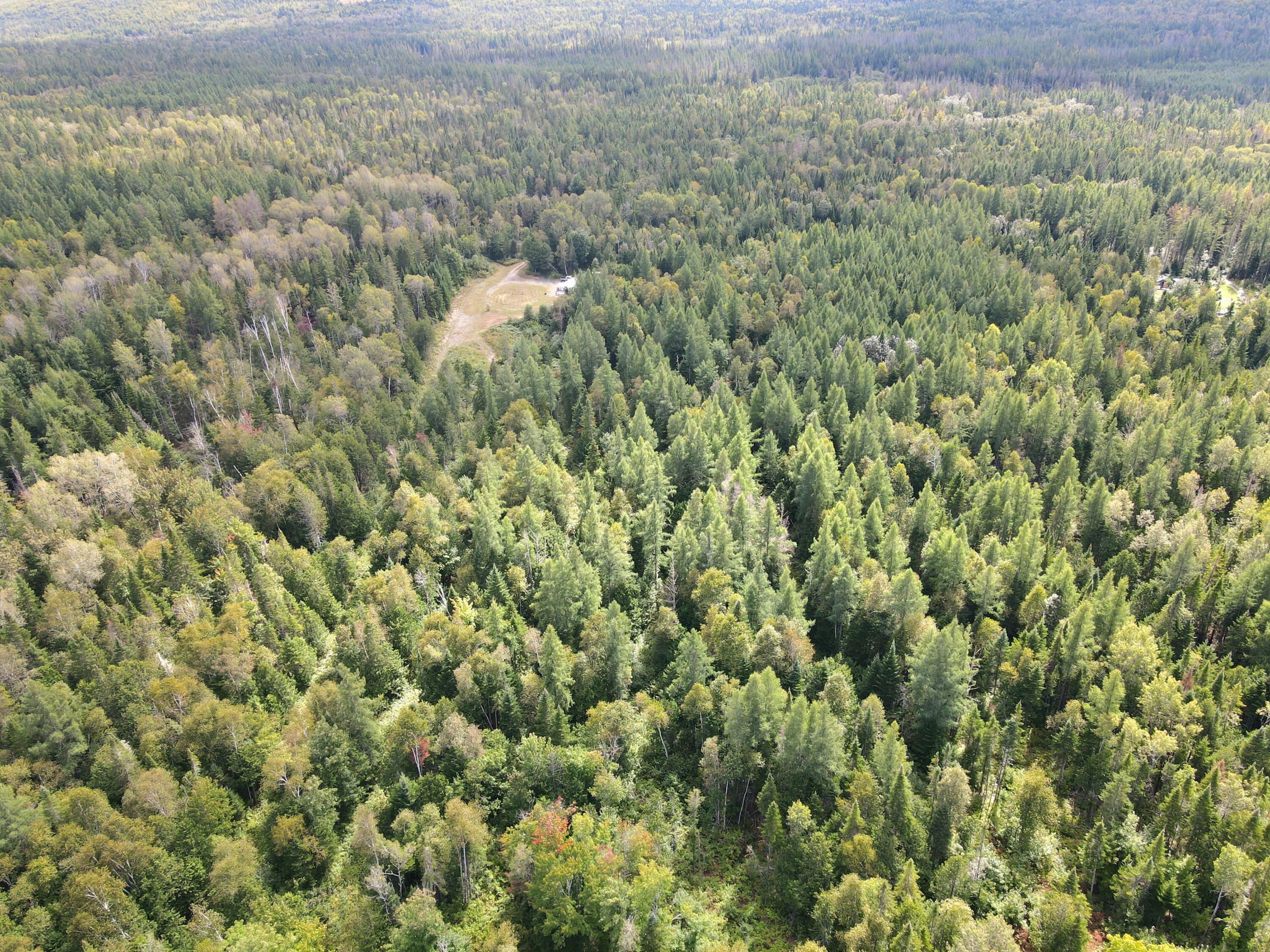416 Jemtland Road New Sweden, ME 04762 - Photo 9 of 22 dji_fly_20240902_135904_770_172530382675