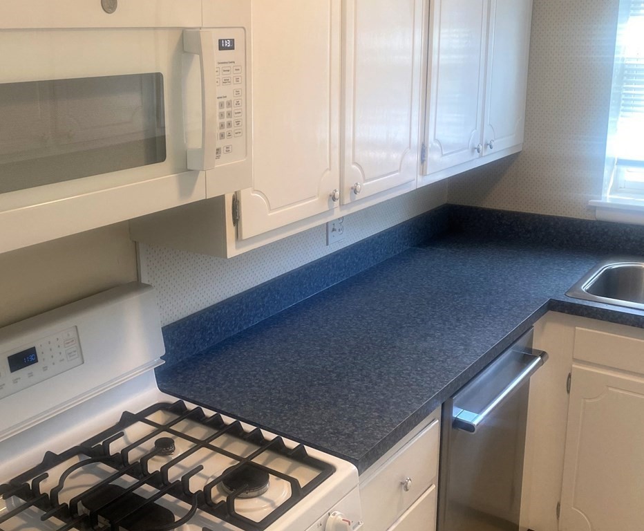 199 Lake Shore Road, Unit 1 Boston, MA 02135 - Photo 3 of 8